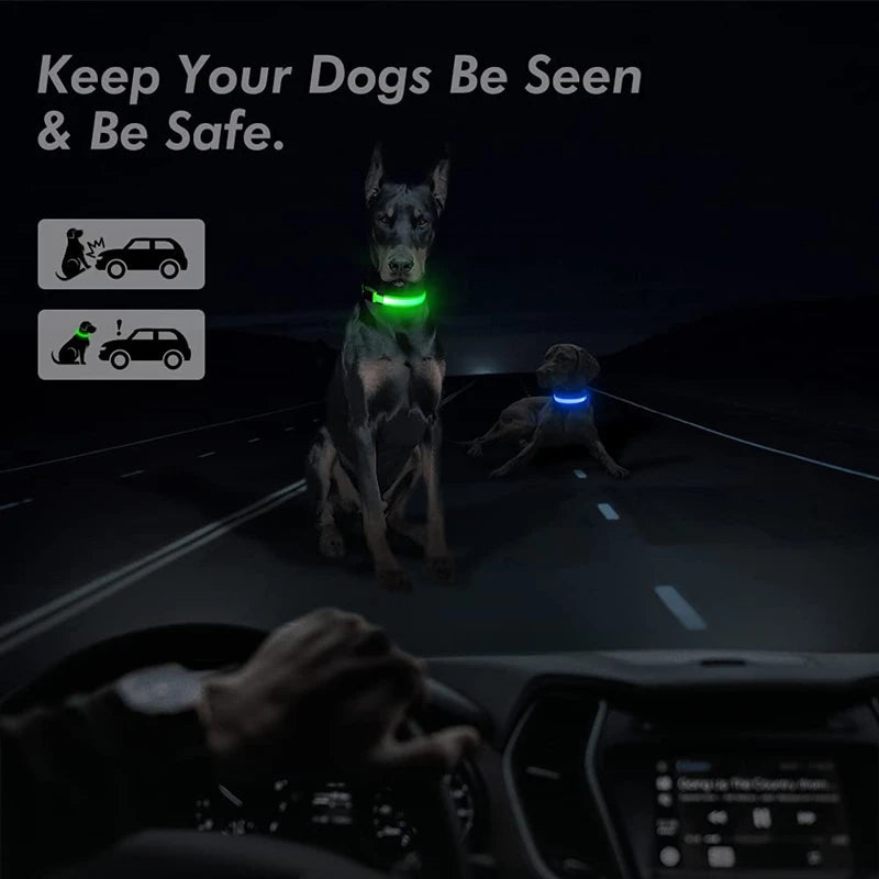 Usb Charging Glowing Dog Collar