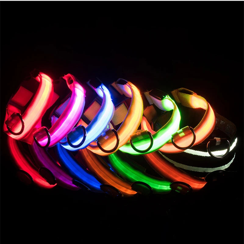 Usb Charging Glowing Dog Collar