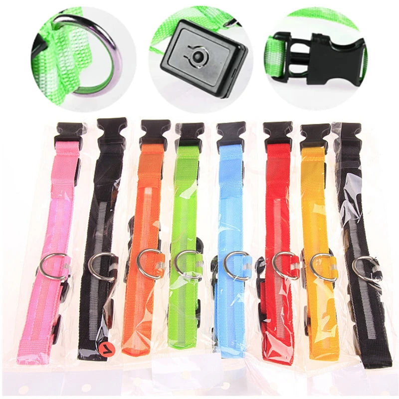 Usb Charging Glowing Dog Collar