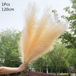 Load image into Gallery viewer, 1pc Artificial Pampas Grass Dried Reed Flowers - BestShop
