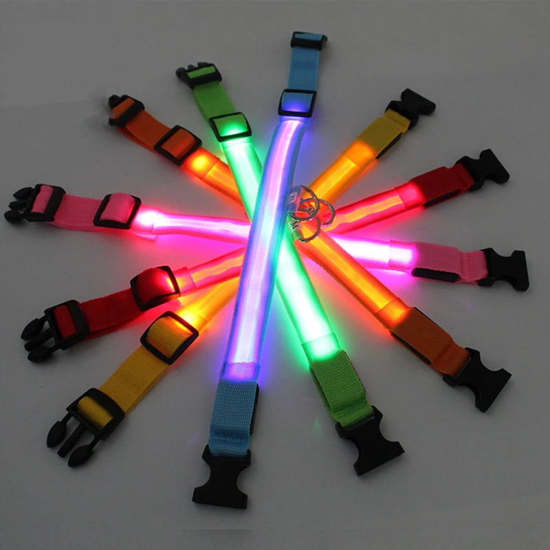 Usb Charging Glowing Dog Collar