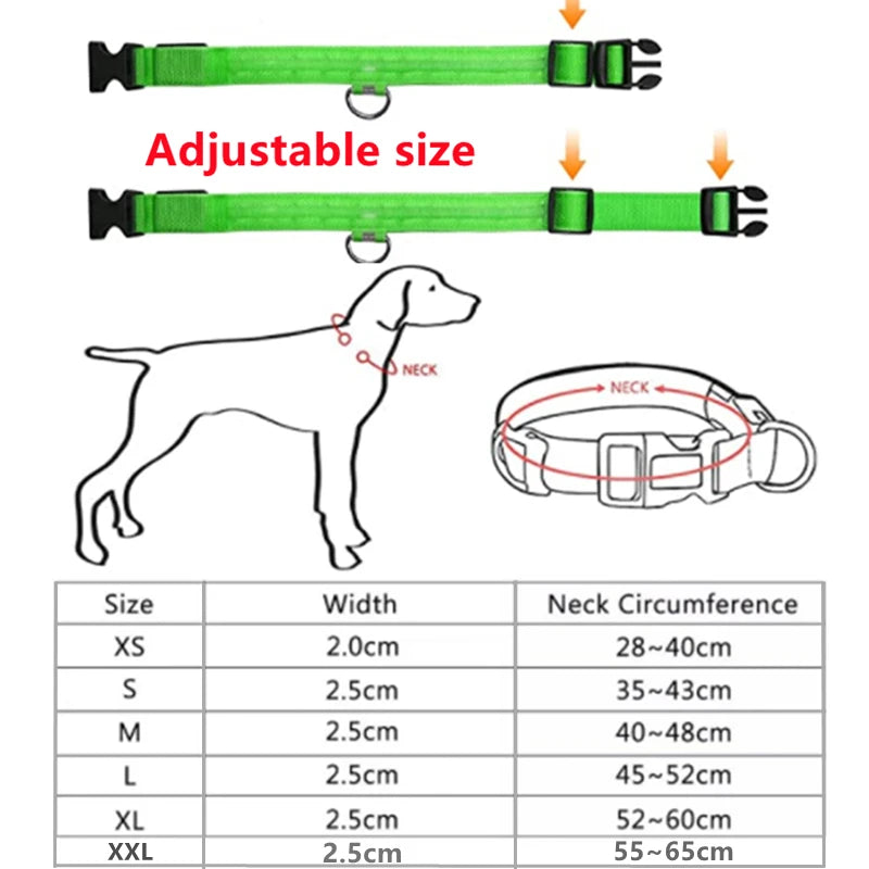 Usb Charging Glowing Dog Collar