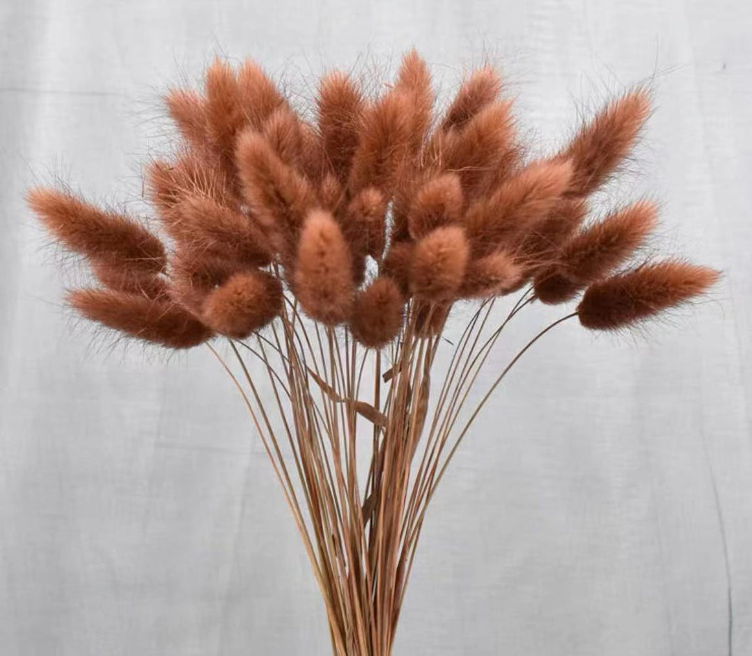 50Pcs Dried Flower Rabbit Tail Bouquet Home Decor - BestShop