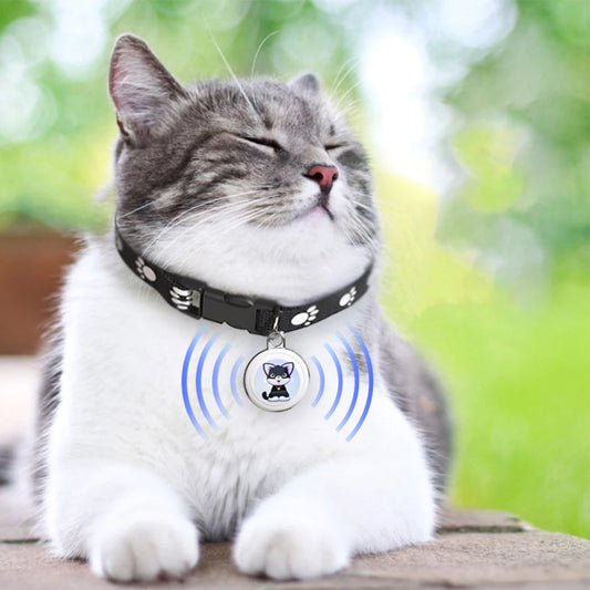Dispositif portable de suivi GPS anti-perte pour animaux de compagnie