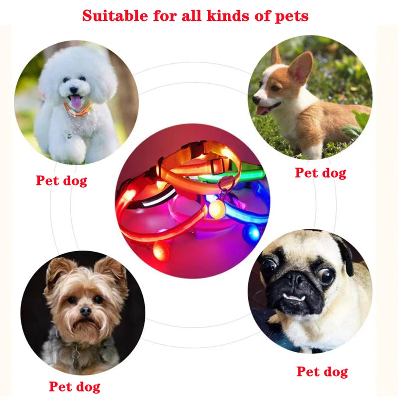 Usb Charging Glowing Dog Collar