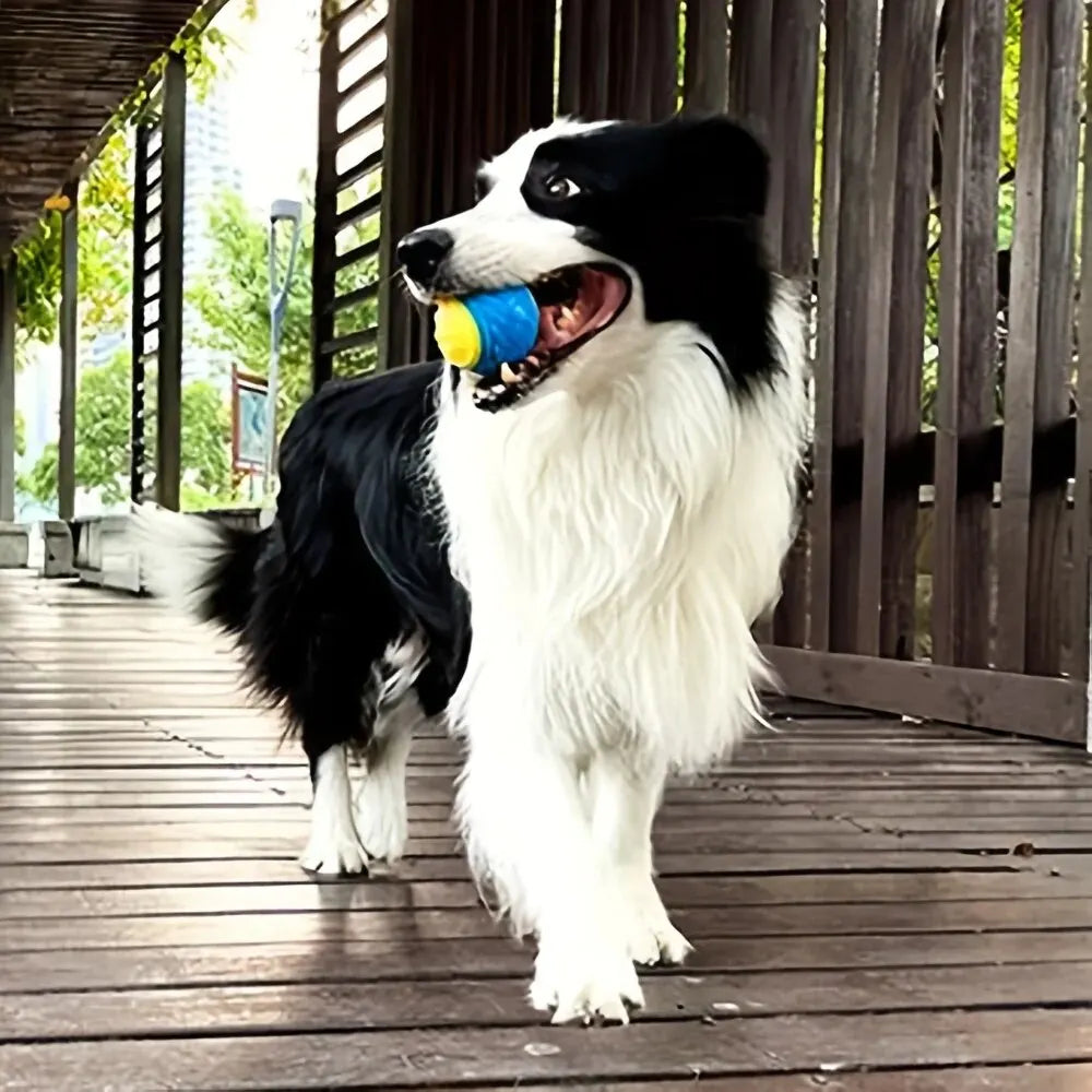 Durable Crew Ball Pet Toy