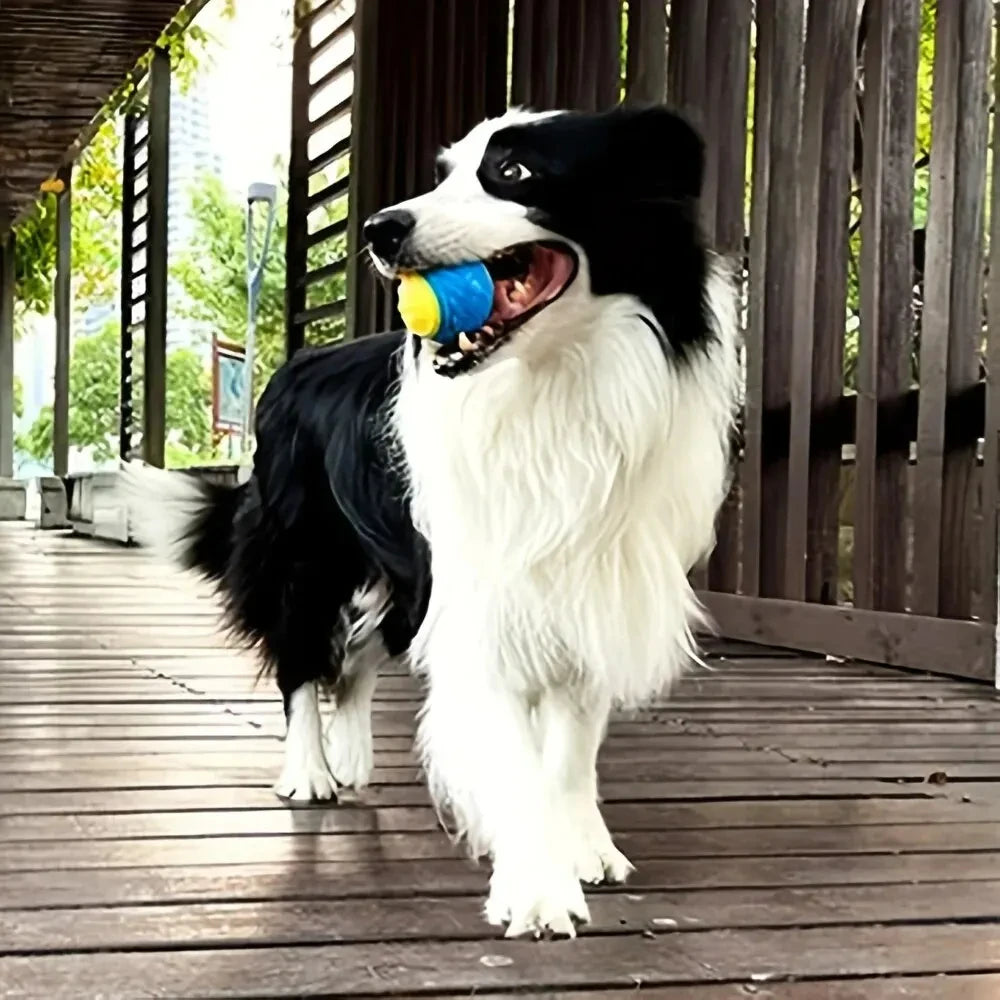Durable Crew Ball Pet Toy
