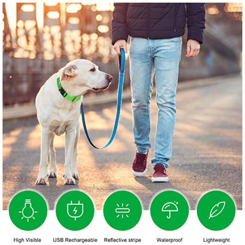 Usb Charging Glowing Dog Collar