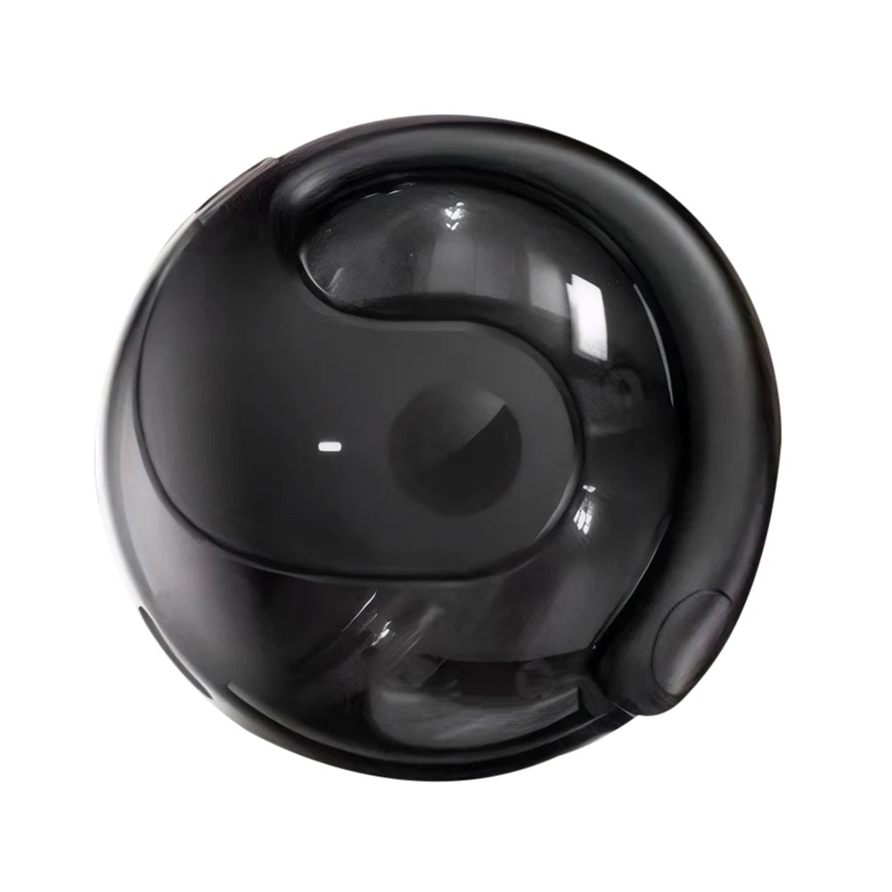 BT AI Real-time Language Translation Earphones