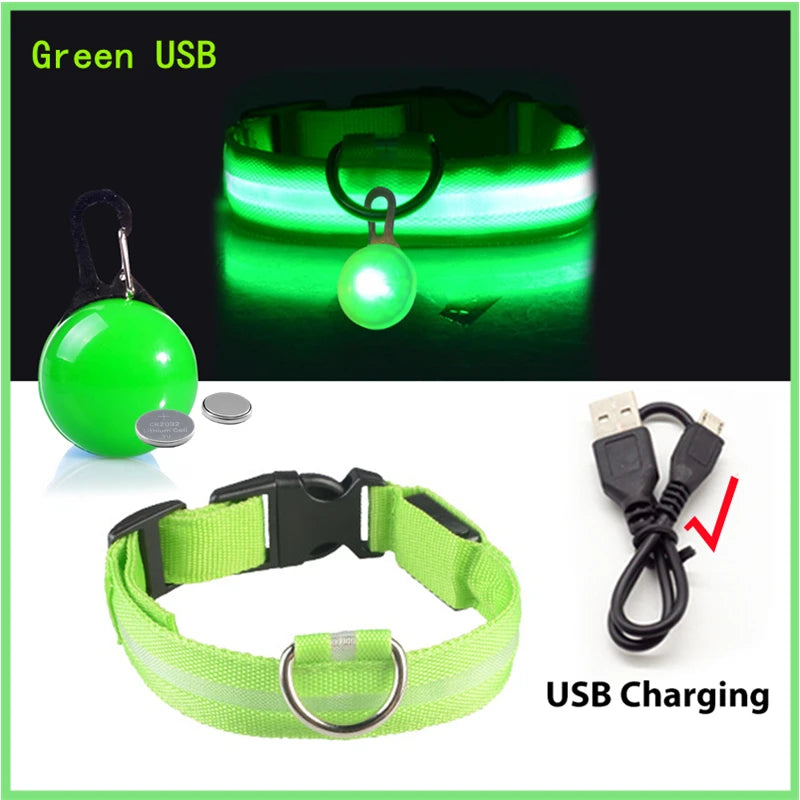 Usb Charging Glowing Dog Collar