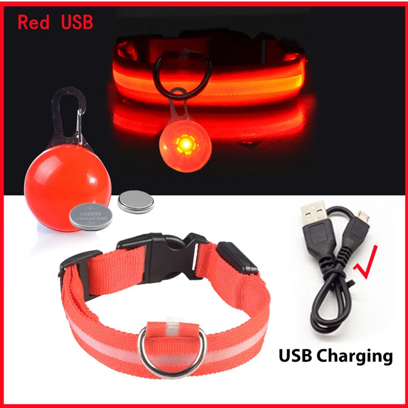 Usb Charging Glowing Dog Collar