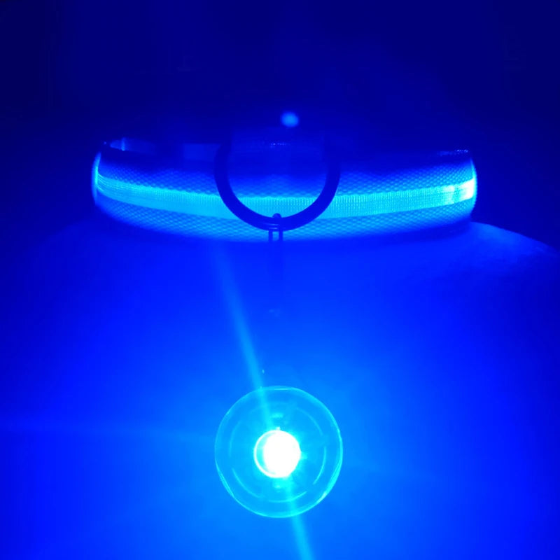 Usb Charging Glowing Dog Collar