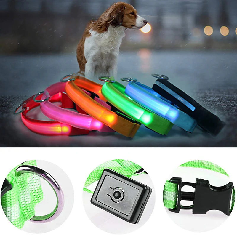 Usb Charging Glowing Dog Collar