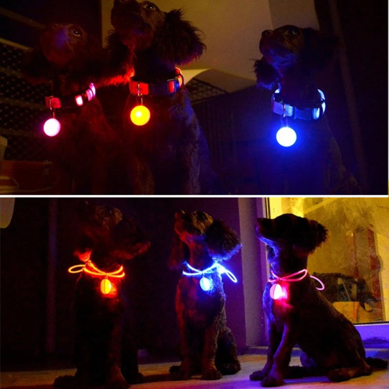 Usb Charging Glowing Dog Collar