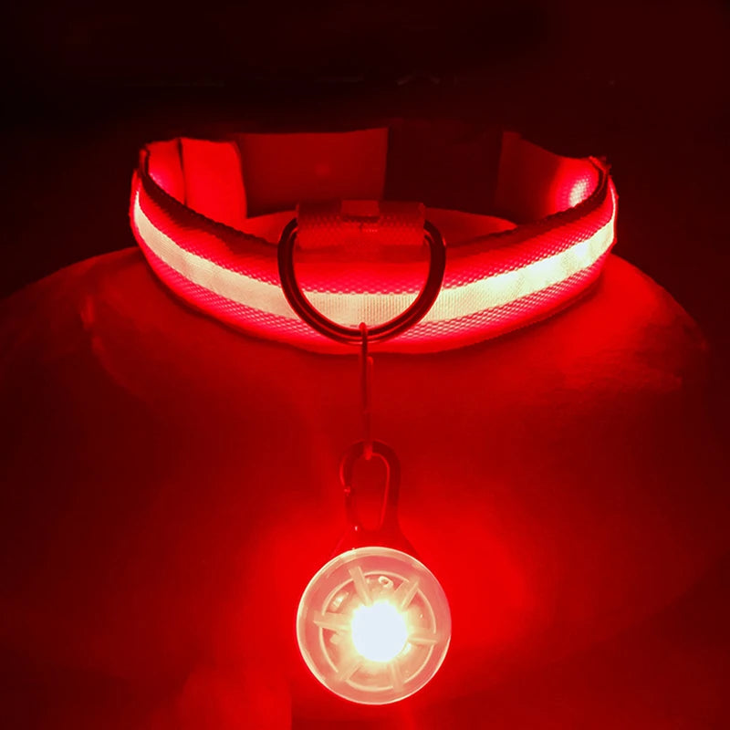 Usb Charging Glowing Dog Collar
