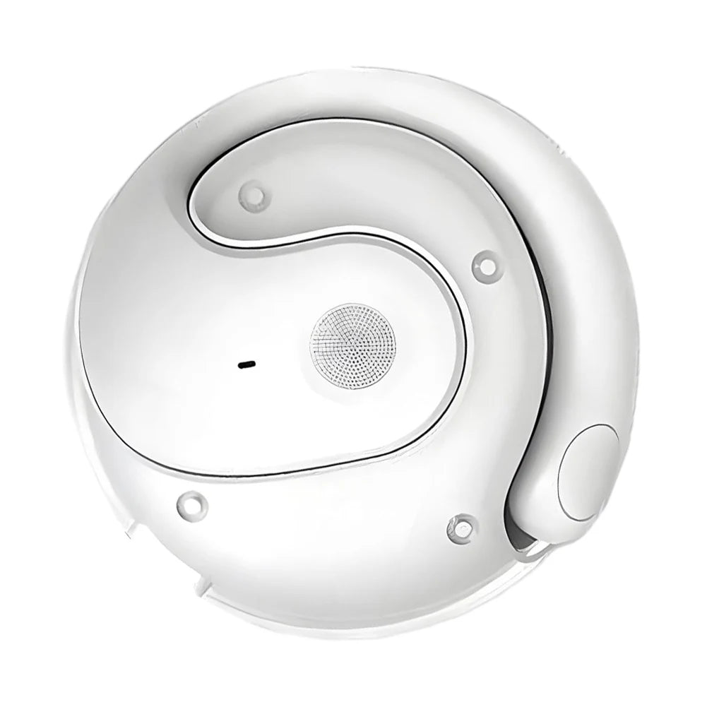 BT AI Real-time Language Translation Earphones