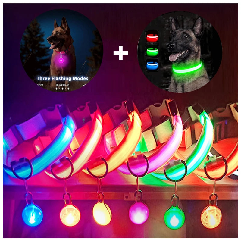 Usb Charging Glowing Dog Collar