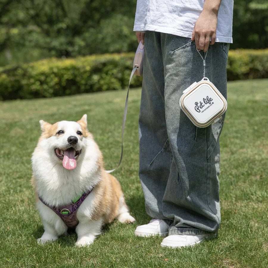 Thickened Folding Pet Bowls