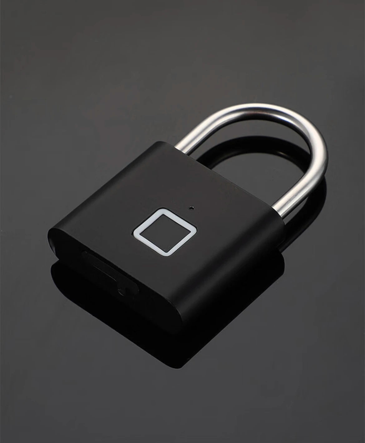 Rechargeable Fingerprint Padlock