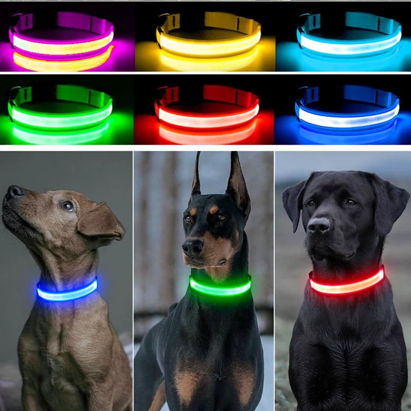 Usb Charging Glowing Dog Collar