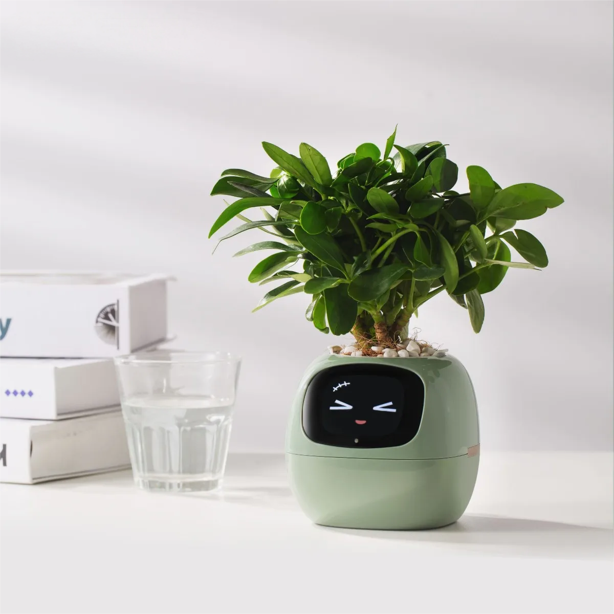 Tuya Ivy Smart Planter