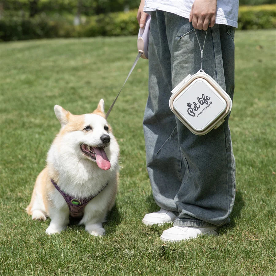 Thickened Folding Pet Bowls