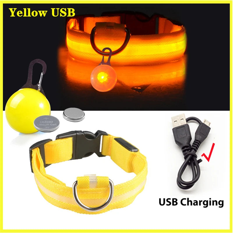 Usb Charging Glowing Dog Collar