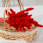 Load image into Gallery viewer, 50Pcs Dried Flower Rabbit Tail Bouquet Home Decor - BestShop
