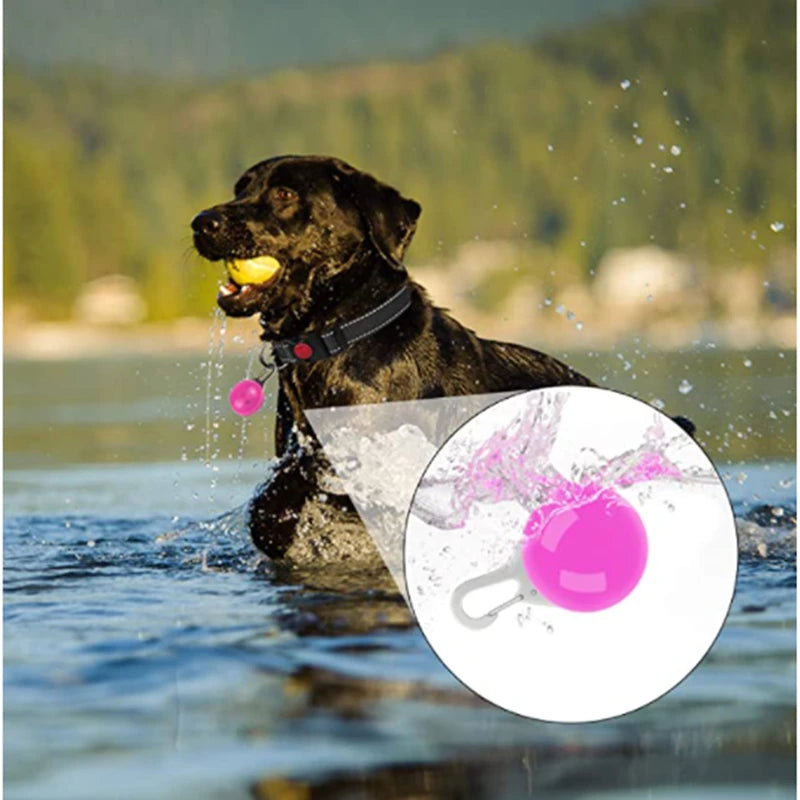 Usb Charging Glowing Dog Collar