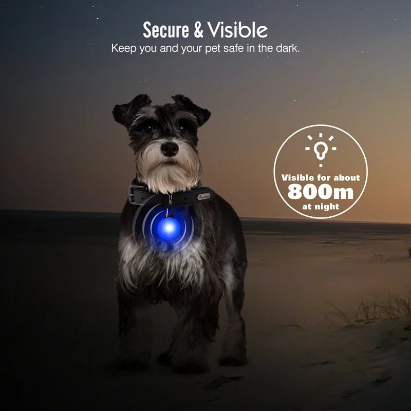 Usb Charging Glowing Dog Collar