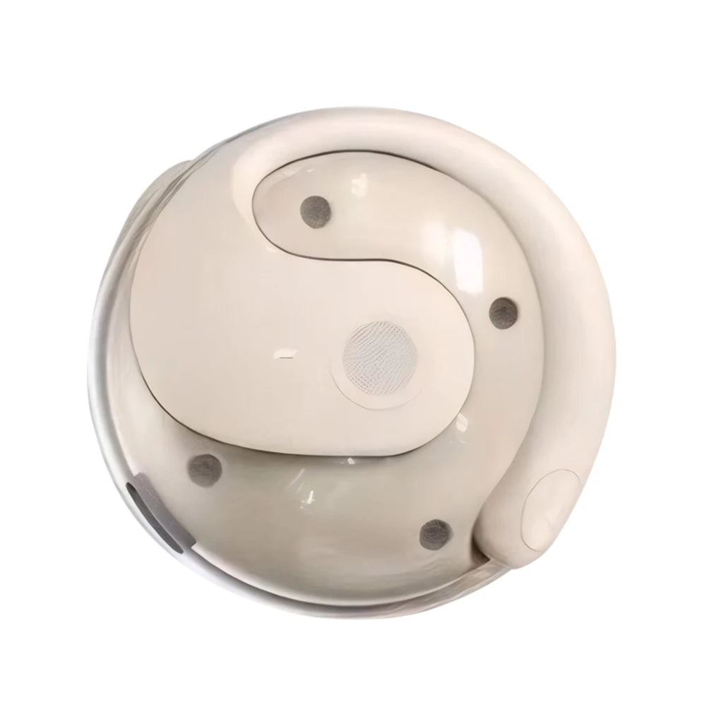 BT AI Real-time Language Translation Earphones