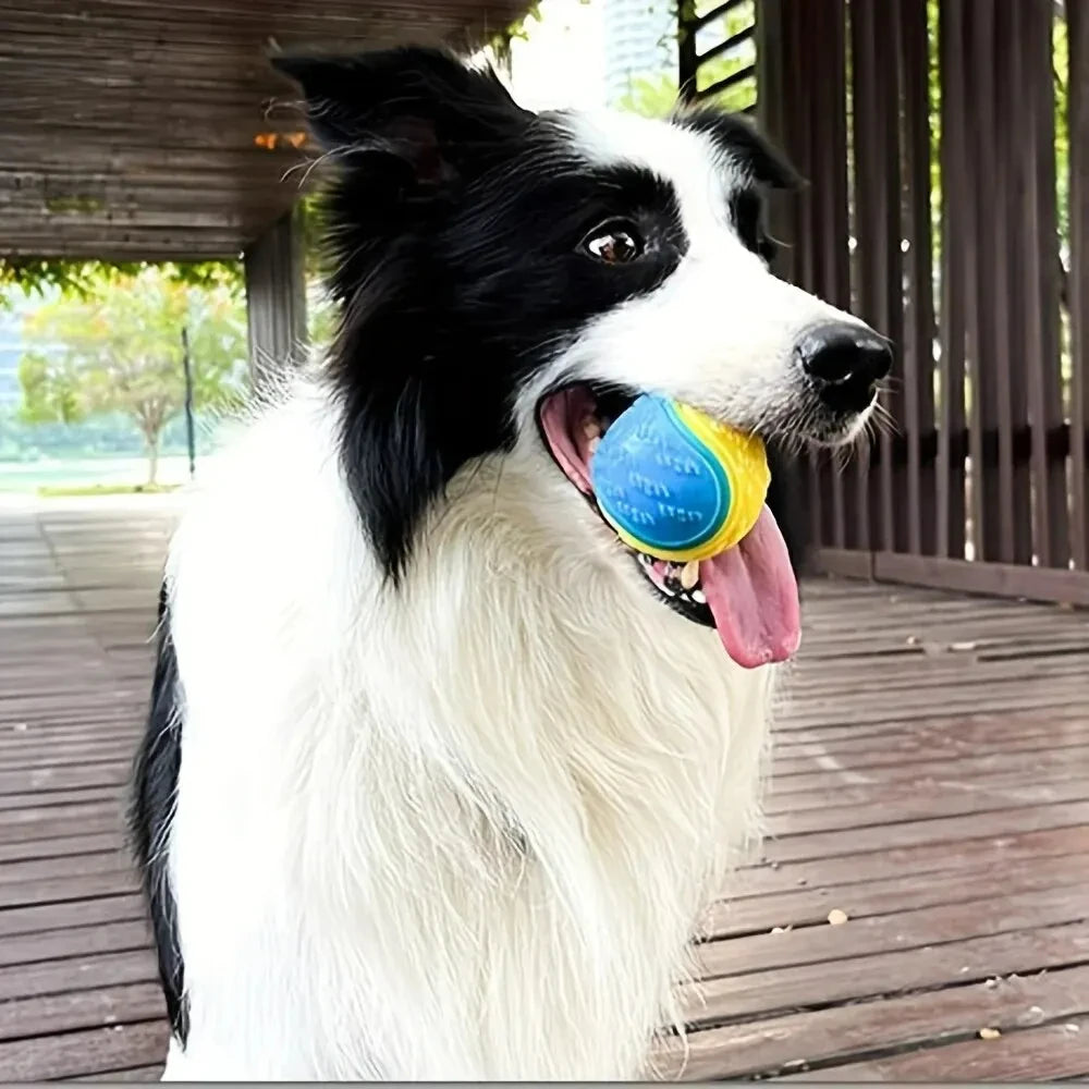 Durable Crew Ball Pet Toy