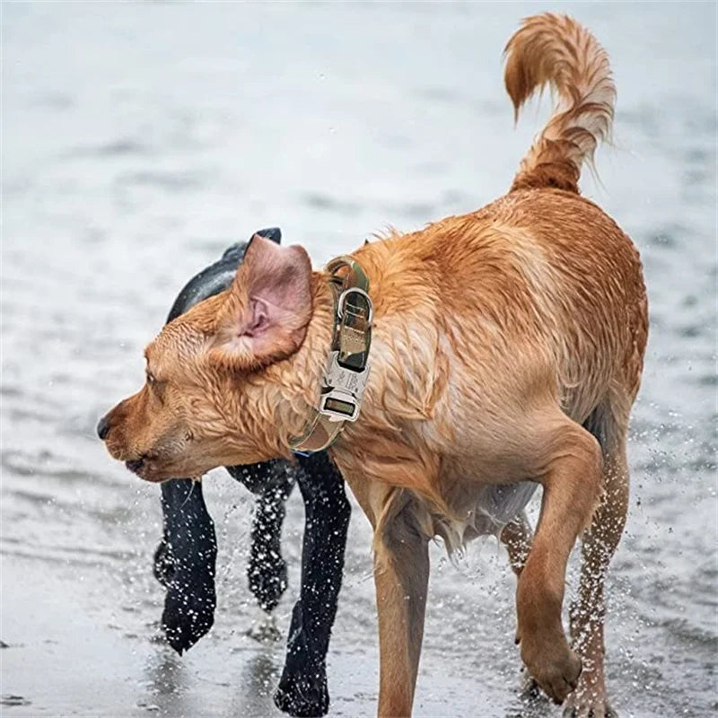 Durable Tactical Dog Collar and Leash