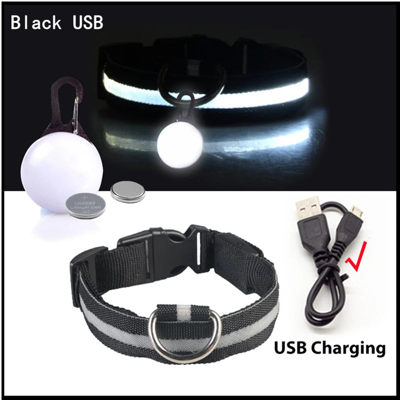 Usb Charging Glowing Dog Collar
