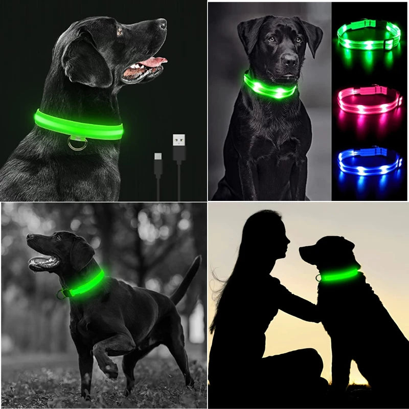 Usb Charging Glowing Dog Collar