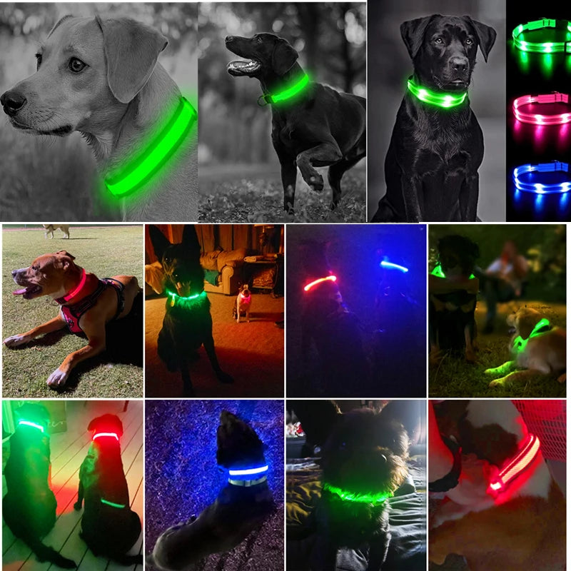 Usb Charging Glowing Dog Collar