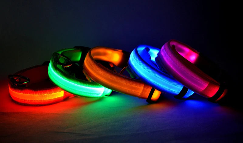 Usb Charging Glowing Dog Collar