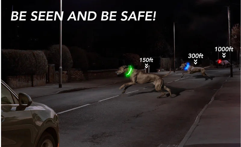 Usb Charging Glowing Dog Collar