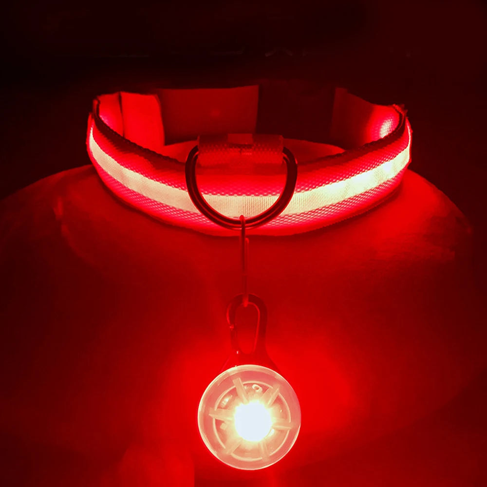 Usb Charging Glowing Dog Collar