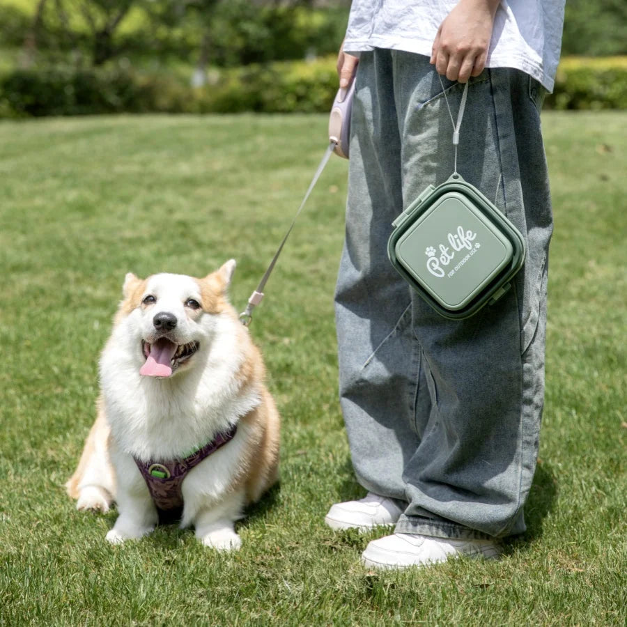Thickened Folding Pet Bowls