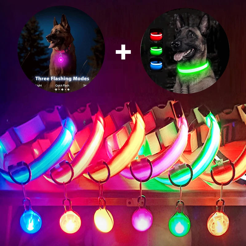 Usb Charging Glowing Dog Collar
