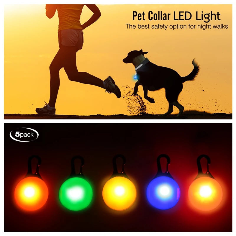 Usb Charging Glowing Dog Collar