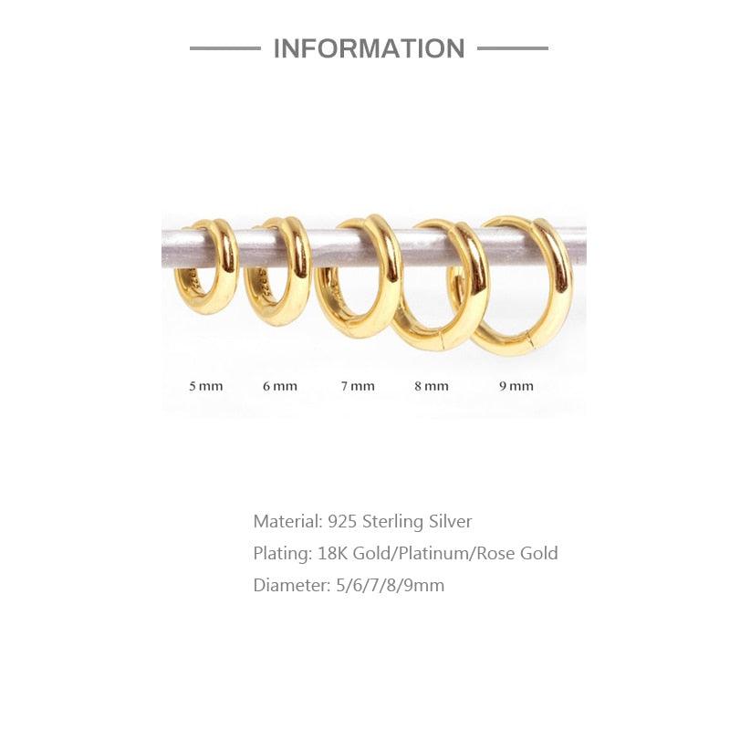 Aide 925 Sterling Silver Rose Gold Small Hoop Earrings For Women - BestShop