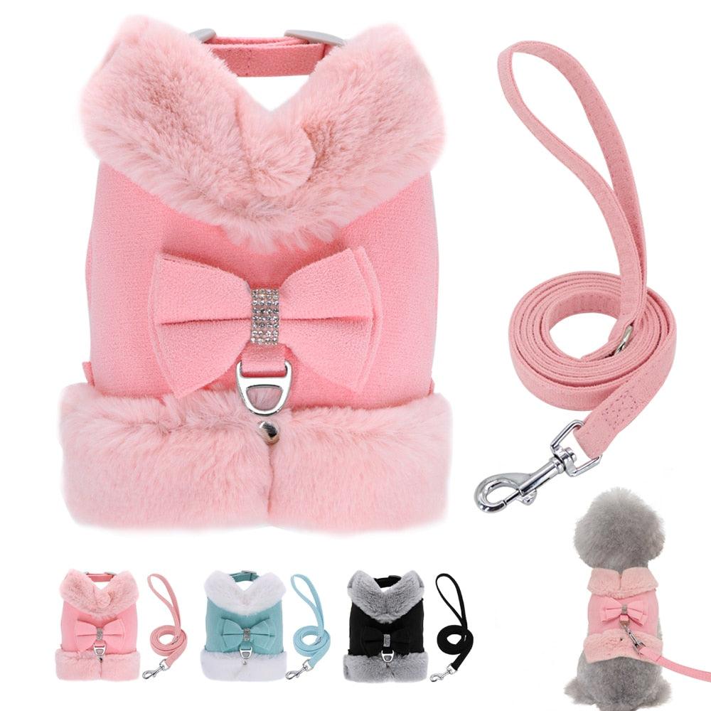 Cute Warm Winter Pet Harness Vest Set - BestShop