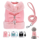 Load image into Gallery viewer, Cute Warm Winter Pet Harness Vest Set - BestShop
