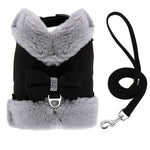 Load image into Gallery viewer, Cute Warm Winter Pet Harness Vest Set - BestShop
