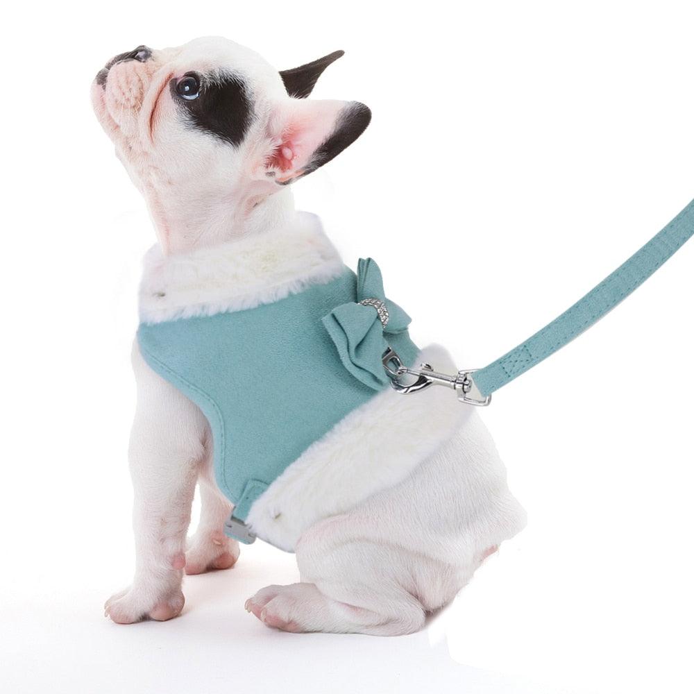 Cute Warm Winter Pet Harness Vest Set - BestShop