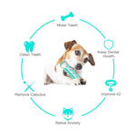 Load image into Gallery viewer, Dog Chew Cleaning Toothbrush Toys - BestShop
