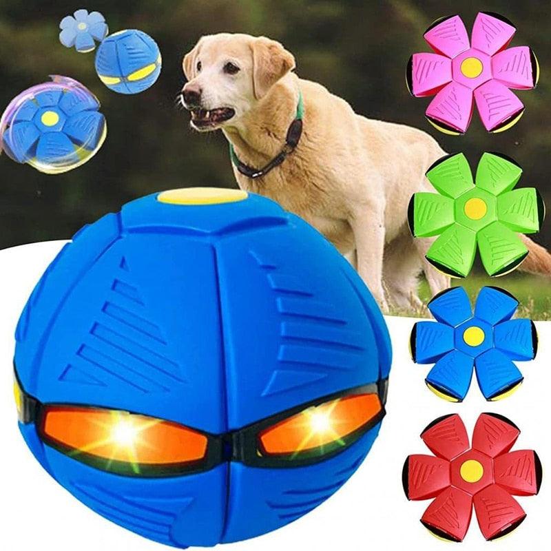 Dog Flying Saucer Ball UFO Toys - BestShop