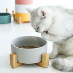 Load image into Gallery viewer, Elevated Ceramic Pet Bowl - BestShop
